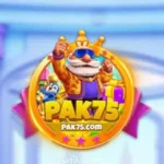 Pak75 Game