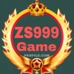 ZS999 Game