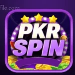 PKR Spin Game