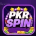 PKR Spin Game