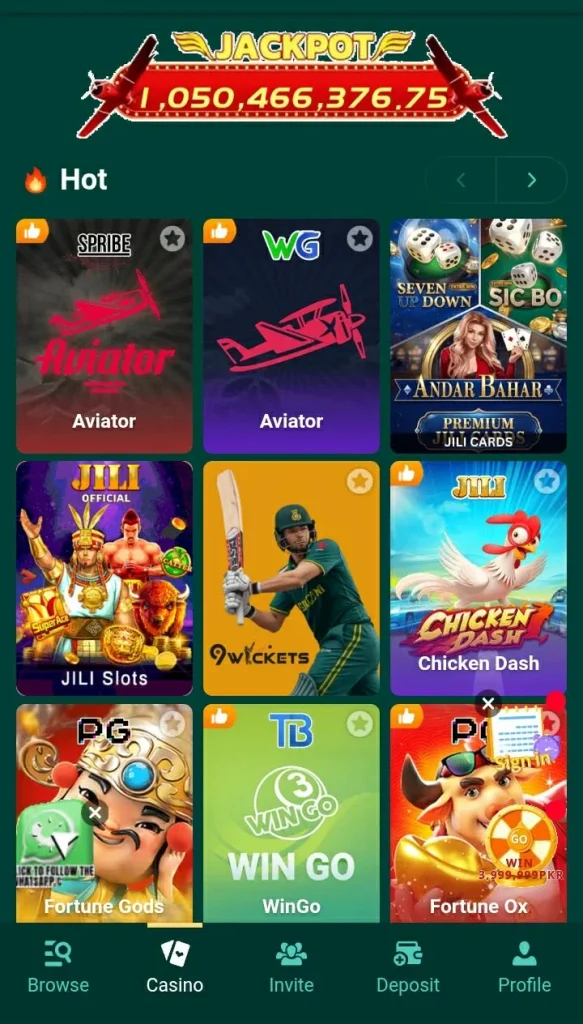PAKPLAY Game